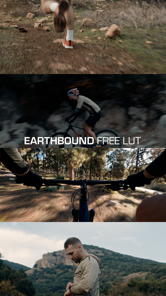 FREE LUT