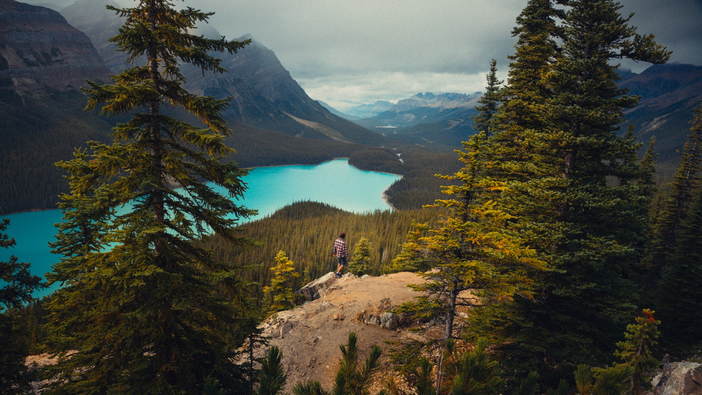 Omer Shabtay Signature Presets - Peyto Lake graded with the pack